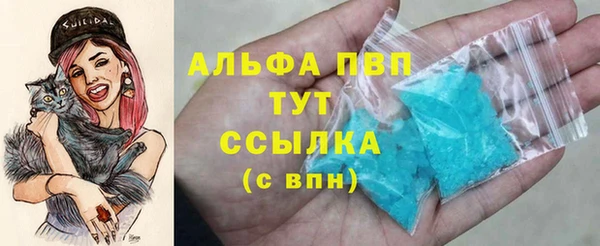 молекула духа Алексин